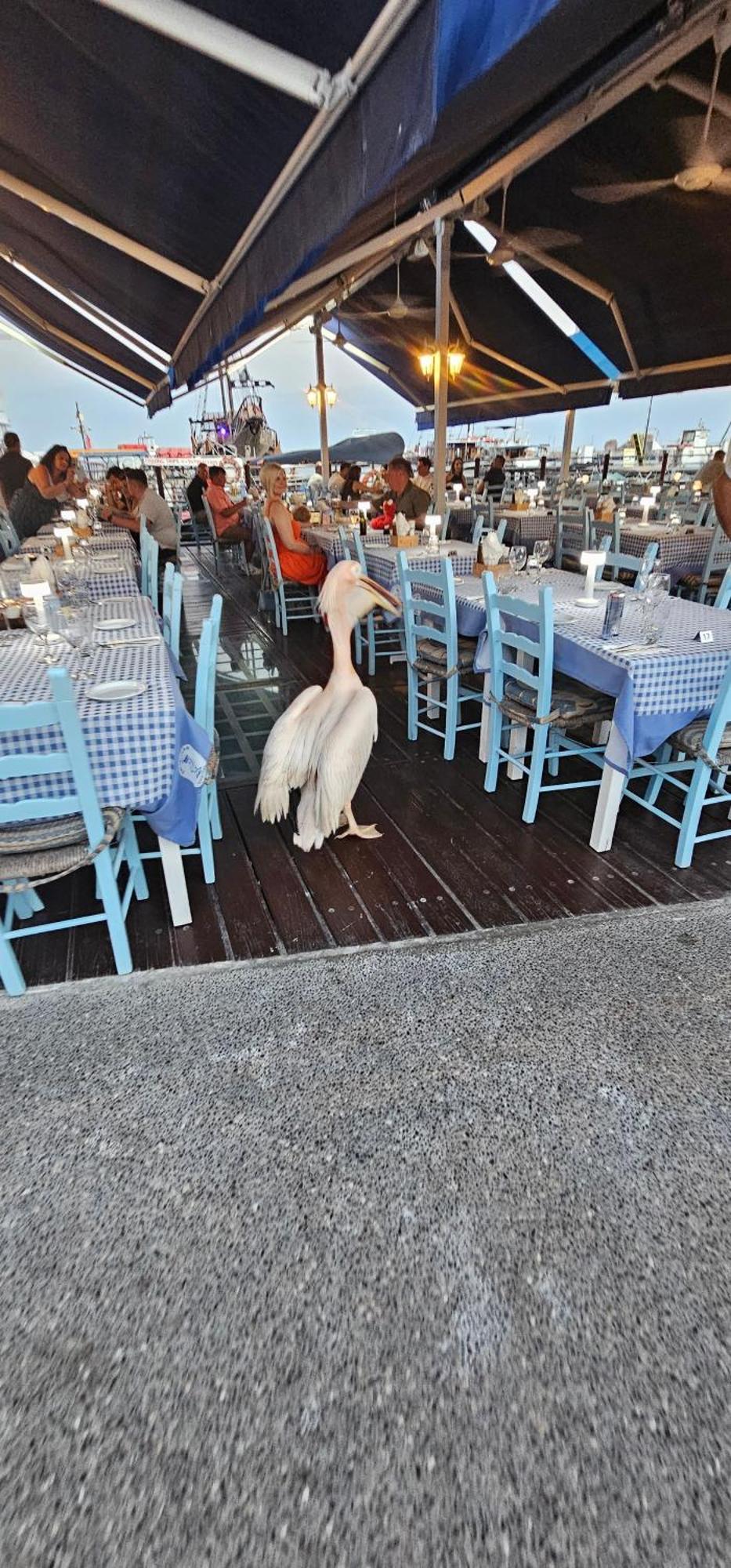 Maya Pafos Exterior foto